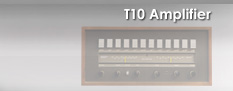 t10